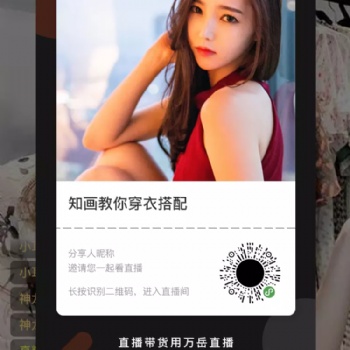 開發直播帶貨系統，可進行二次開發