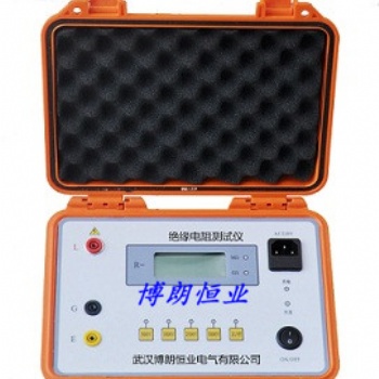 數(shù)字式搖表2500V