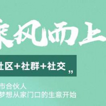 社交電商優(yōu)解——社區(qū)團(tuán)購(gòu)