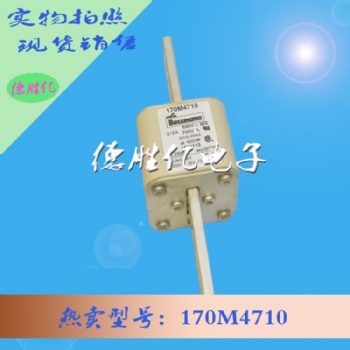巴斯曼熔斷器 170M4710 現(xiàn)貨全新 量多可詢