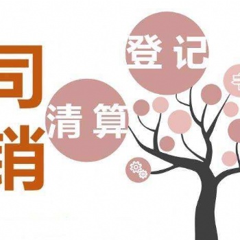 安全辦理武侯區公司注銷看這里