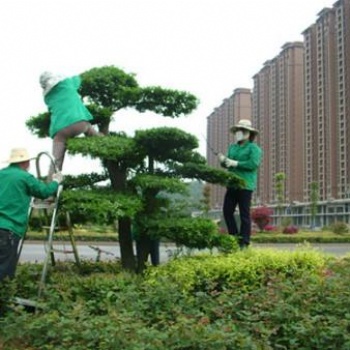 承接別墅綠化養護，私家花園綠化保養，廠區綠地管理