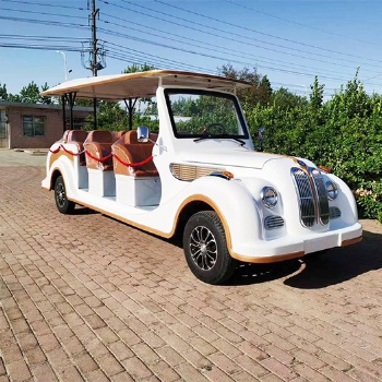 鑫時代廣東中山11座寶馬款電動老爺看房車