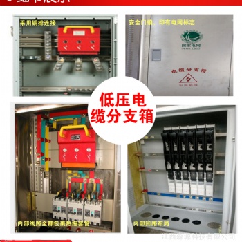 低壓電纜分支箱 生產戶外進線開關型電纜分接箱