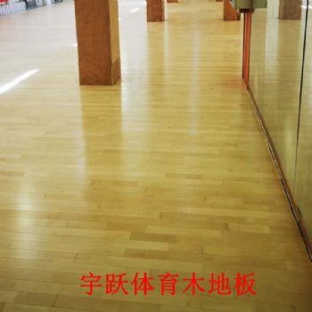 籃球館羽毛球館體育運(yùn)動(dòng)木地板