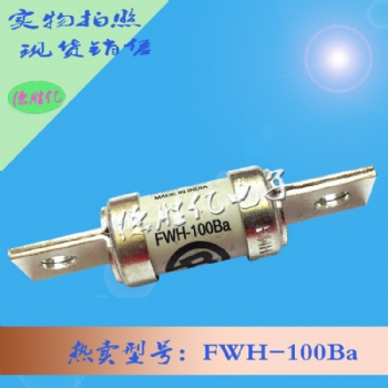 巴斯曼熔斷器 FWH-100B 現(xiàn)貨全新 量多供應(yīng)
