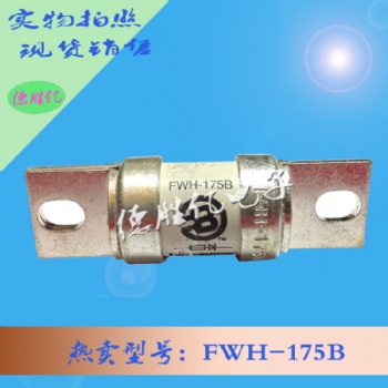 巴斯曼熔斷器 FWH-175B 量多全新供應(yīng) 可詢