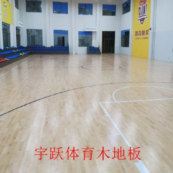 籃球館體育運(yùn)動(dòng)實(shí)木地板