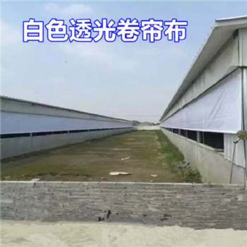 山東泰安豬舍卷簾帆布 輕便PVC帆布卷簾 透光養殖卷簾布