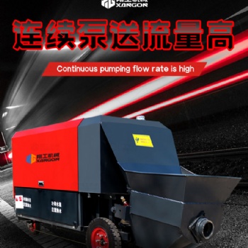 30型電動二次構(gòu)造柱泵