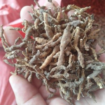 九節(jié)菖蒲空氣能烘干機-西萊特掌握核心科技智能運行