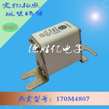 巴斯曼熔斷器 170M4807 全新出售供應(yīng)