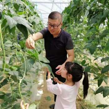 來胖仔農(nóng)莊回歸大自然