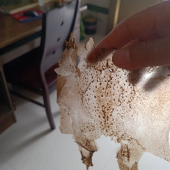 癩蛤蟆衣的質(zhì)量怎樣識別,通州蟾業(yè)
