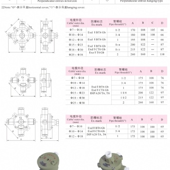 供應(yīng)上海飛策AH-系列防爆接線盒
