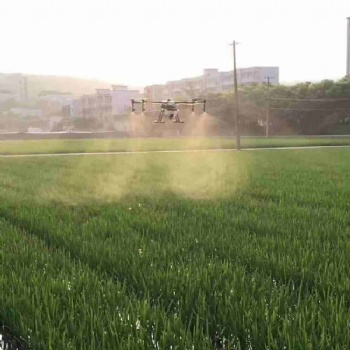 廣東廣西無人機馬蹄花生玉米茶樹打藥服務