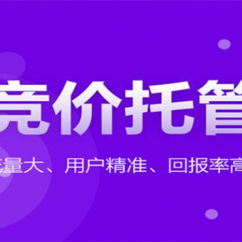 廣東競價托管外包代運營公司