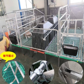 現代化養豬設備母豬產床 產保一體產床單雙體母豬產床