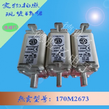 巴斯曼熔斷器 170M2673 全新現(xiàn)貨價(jià)優(yōu)