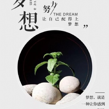 五江蘇五年制專轉本全日制輔導培訓班全年招生中