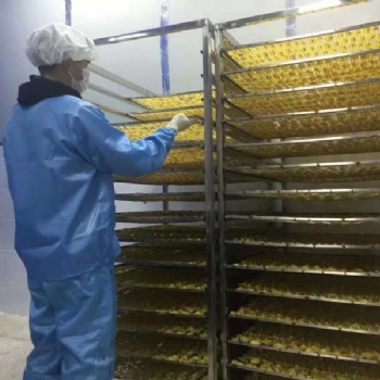 西部大旗金絲皇菊烘干機