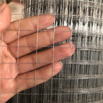 金龍鍍鋅電焊網的用途特點