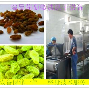 瑞晨隧道式葡萄干微波烘干滅菌設備廠家