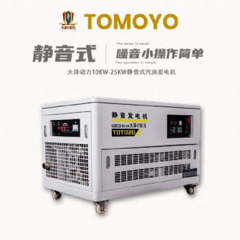 大澤動力20千瓦汽油發電機