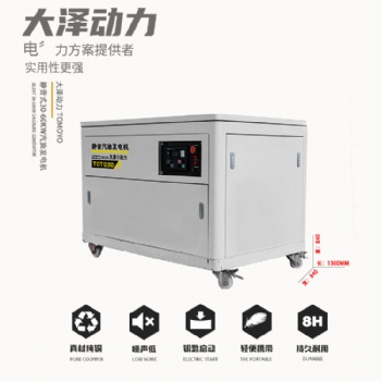 大澤動力35千瓦汽油發電機
