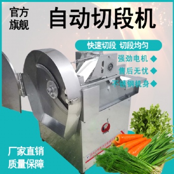辣椒切段機(jī)切電動(dòng)不銹鋼多種類蔬菜莖菜韭菜茴香包子用切菜機(jī)商用