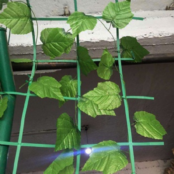 綠色植物攀爬網(wǎng)爬藤網(wǎng)山體綠色掛網(wǎng)鋼塑土工格柵