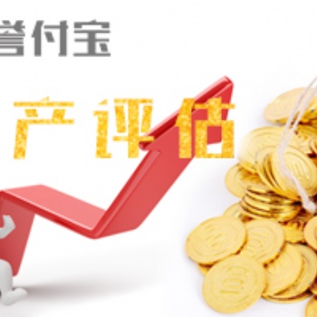 譽付寶海峽資產評估，專業評估機構，15年運營經驗
