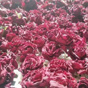 西部大旗玫瑰花烘干機