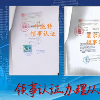 西班牙資產(chǎn)負(fù)債表使館蓋章