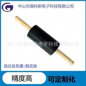 高科斯燒結釹鐵硼魚缸增壓泵電機磁轉子