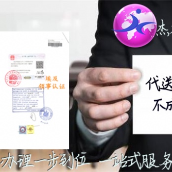法國領事館公司損益表雙認證