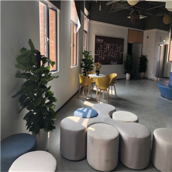 河源過道盆栽租擺養護 綠植養護公司