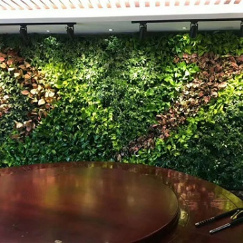 河源圍欄綠色植物墻制作過程