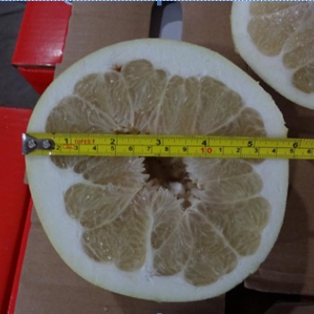 水果驗貨，水果檢驗標準，第三方驗貨公司