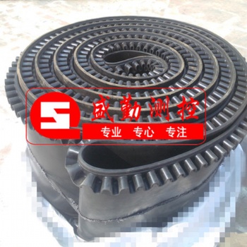 F55型給煤機環(huán)形裙邊阻燃膠帶F57型給煤機