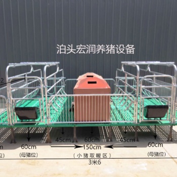 河北養(yǎng)豬設備 批發(fā)價格 雙體豬產(chǎn)床