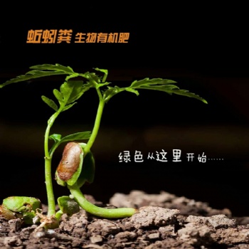 蚯蚓糞有機肥，無副作用