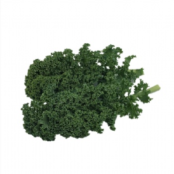 羽衣甘藍新鮮果蔬健身輕食榨汁kale綠色蔬菜沙拉火鍋西餐食材批發銷售