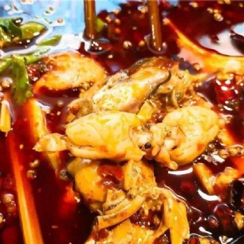 寧夏自治區麻辣美蛙魚頭底料味道如何
