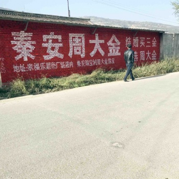 閻良區(qū)圍墻標語廣告億達百花齊放