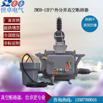 ZW20智能看門狗 智能分界開關 廠家**