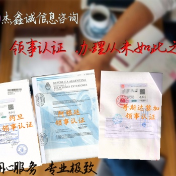 巴西SGS證書\分析報告\招標文件領事館認證