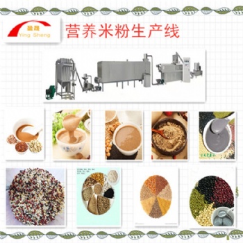 山東盈晟營養米粉生產線