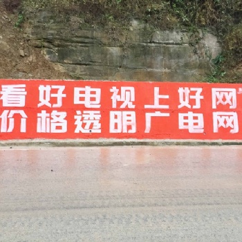 成都墻體廣告在農村專業專注提高銷量