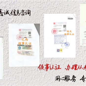 安道爾代理要求辦理領(lǐng)事雙認(rèn)證周年申報(bào)表·驗(yàn)資報(bào)告